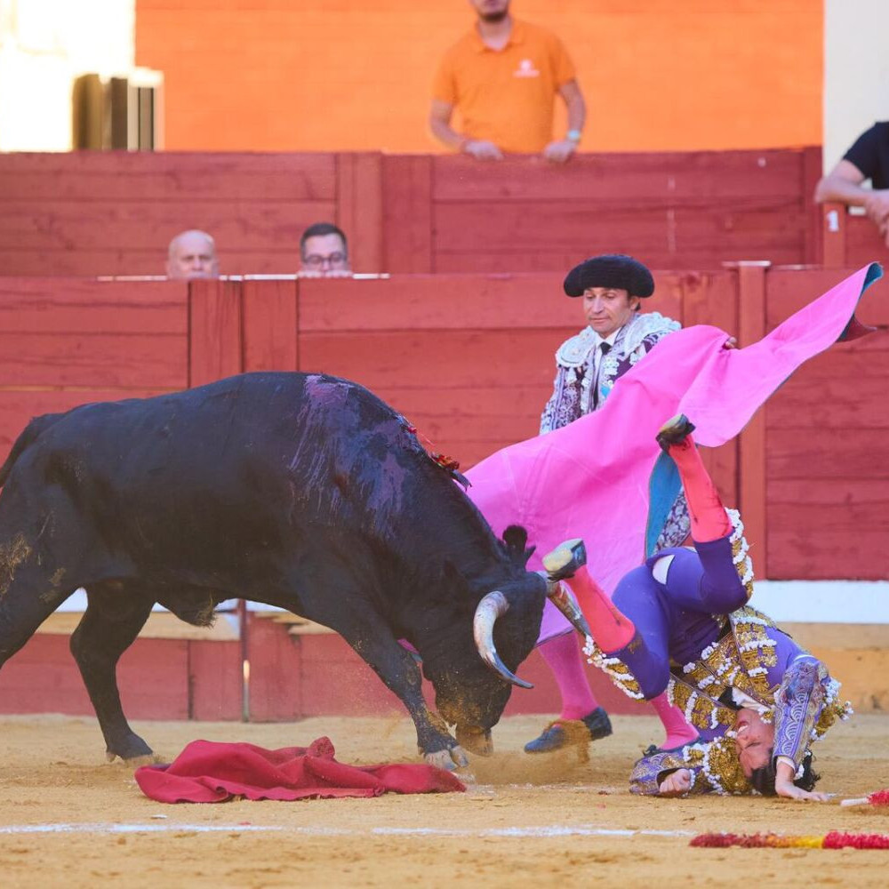Diario Frontera, Frontera Digital,  Mocoties, ,Más de 400 abonos vendidos respaldan edición taurina ferial tovareña 2026