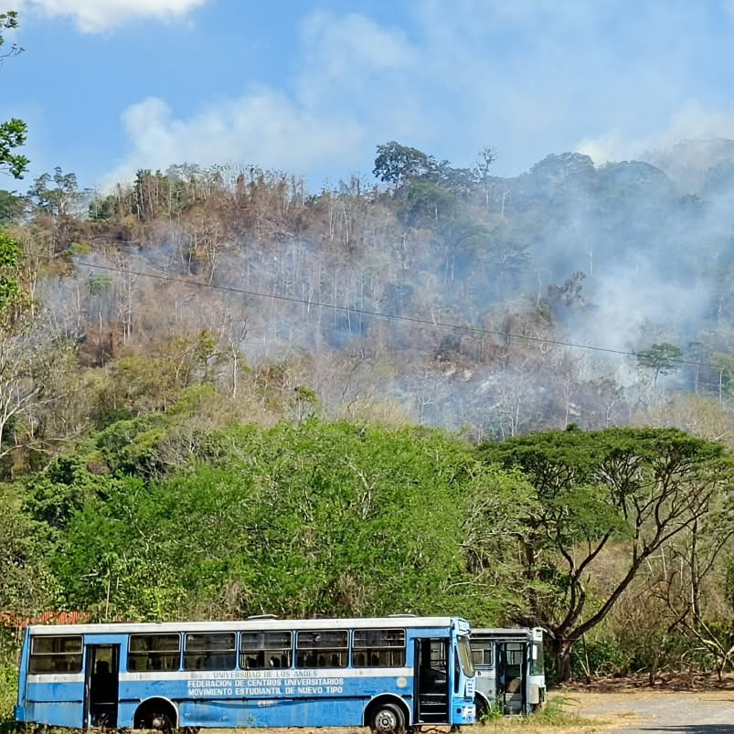 Diario Frontera, Frontera Digital,  Nacionales, ,Núcleo Rafael Rangel de Trujillo | Bosque Universitario herido: 
fuego alcanza el 60% de la vegetación montañosa
