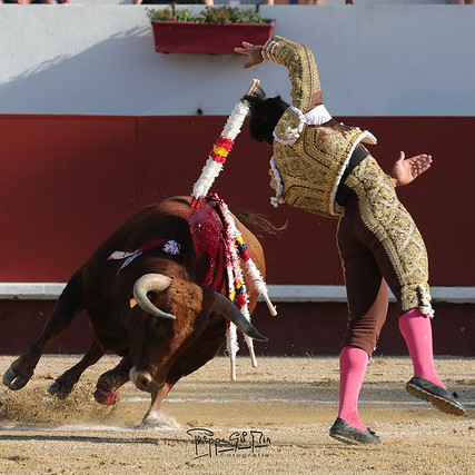 Diario Frontera, Frontera Digital,  Entretenimiento, ,Semana triunfal de “Colombo” que se corona en Querocotillo