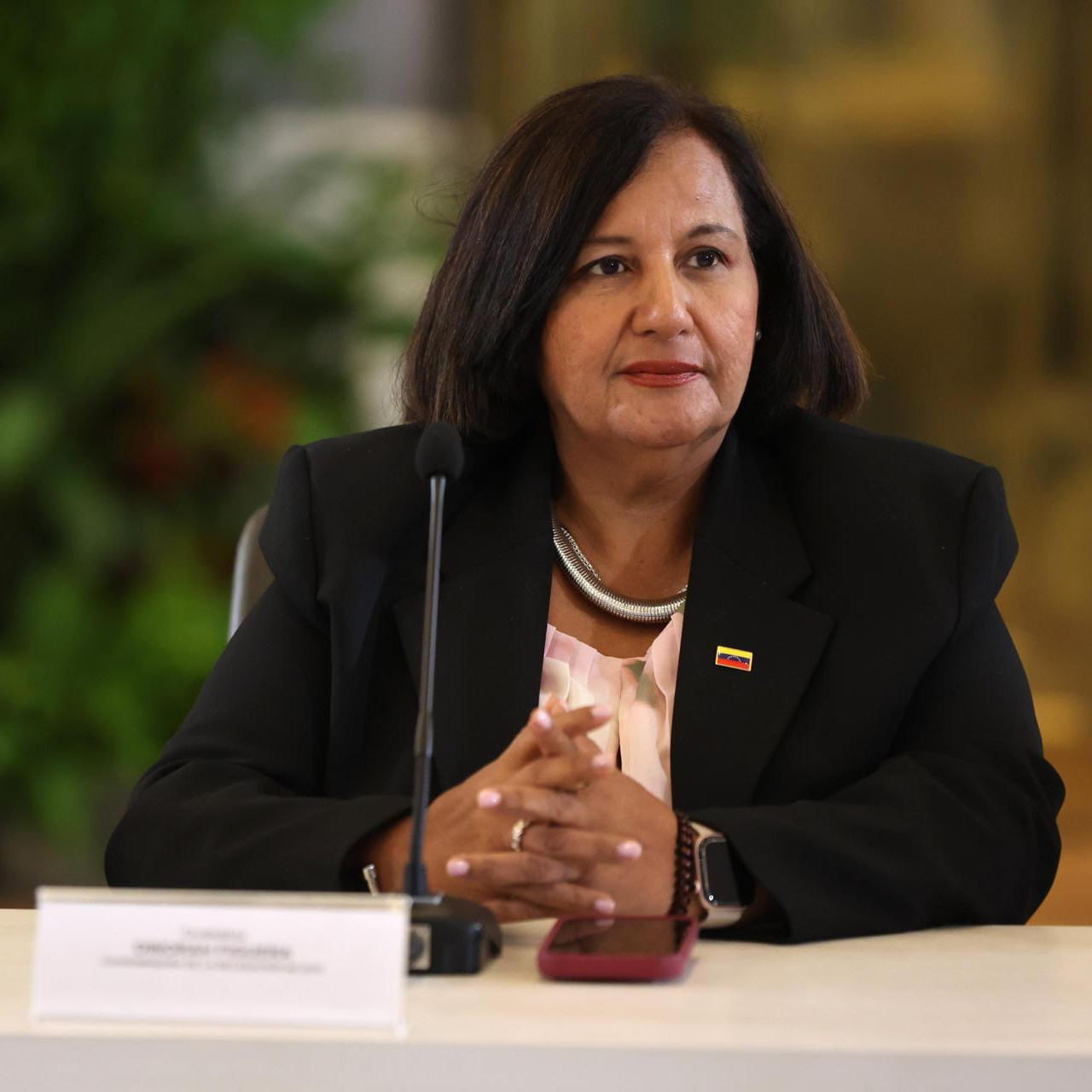 Diario Frontera, Frontera Digital,  Nacionales, ,Dinorah Figuera pide liberar a todos los presos políticos tras nuevas excarcelaciones