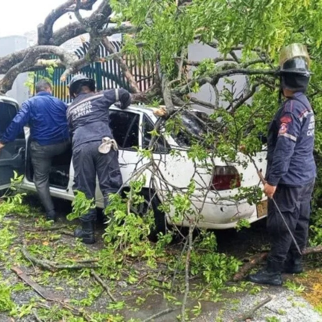 Diario Frontera, Frontera Digital,  Nacionales, ,Reportaron anegaciones y árboles caídos por las lluvias en la Gran Caracas